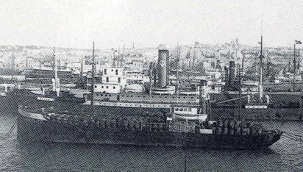 Danielito - Vida Marítima Danielito - Vida Marítima